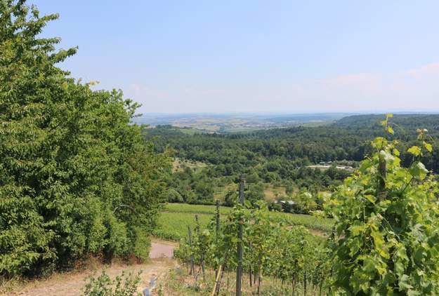 40 Winzer auf der Weinmesse „Direkt Dein Wein“ in Nieder-Olm